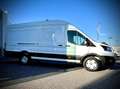 Ford Transit Transit Kasten Trend 350L4H3 2,0 EcoBlue 165PS ... Weiß - thumbnail 6