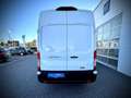 Ford Transit Transit Kasten Trend 350L4H3 2,0 EcoBlue 165PS ... Weiß - thumbnail 16