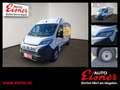 Fiat Ducato MAXI KW L3H2 3500 140 Tageszulassung ! Weiß - thumbnail 1