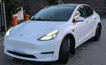 Tesla Model Y Long Range AWD 75kWh - thumbnail 2