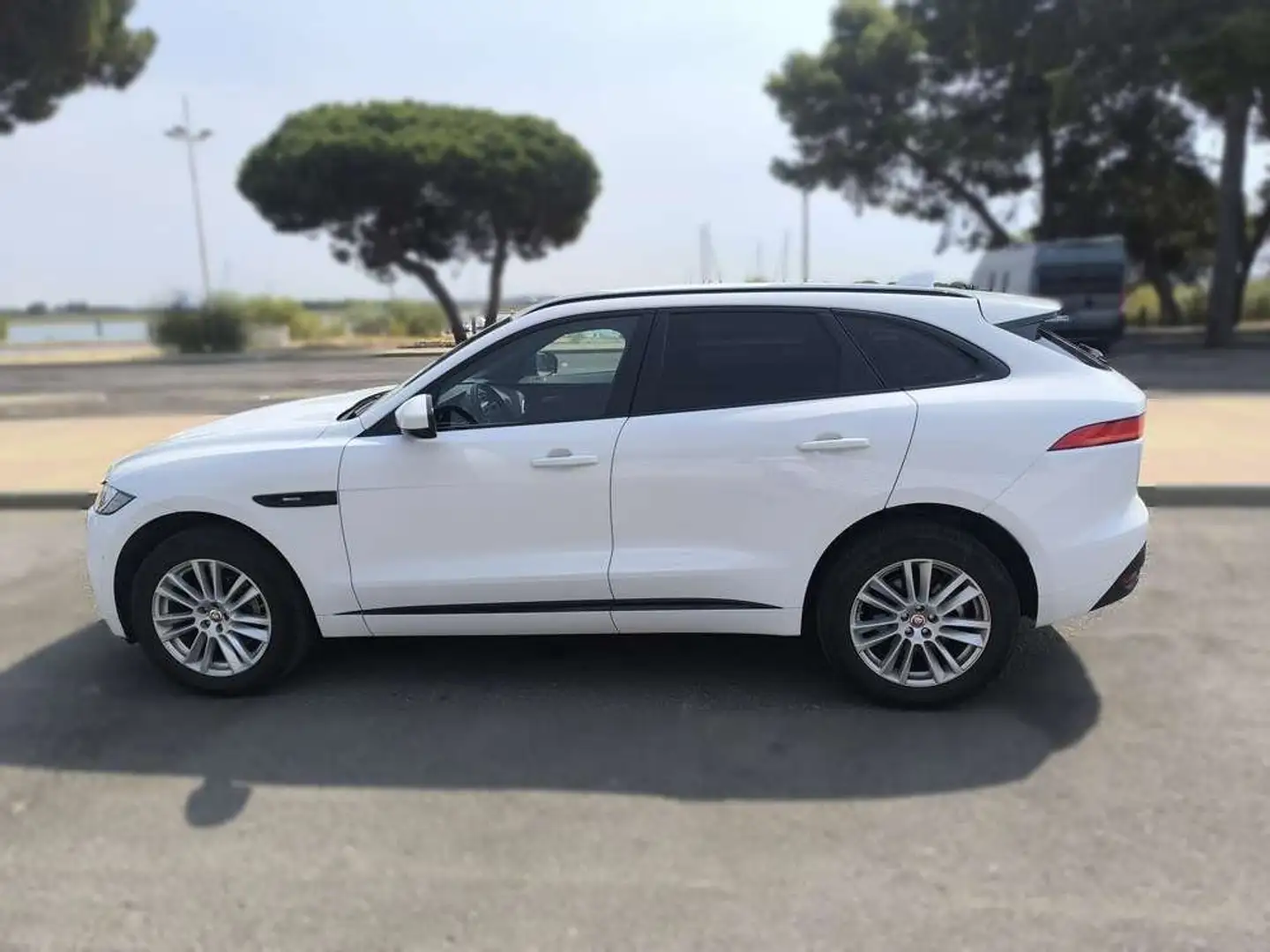 Jaguar F-Pace 2.0L i4D AWD Automático R-Sport Blanco - 2