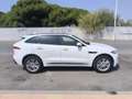 Jaguar F-Pace 2.0L i4D  AWD Automático R-Sport Blanco - thumbnail 3