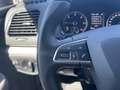 SEAT Alhambra 7-Sitzer-Paket Business 2,0 TDI DSG Weiß - thumbnail 14