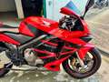 Honda CBR 600 RR Rosso - thumbnail 4