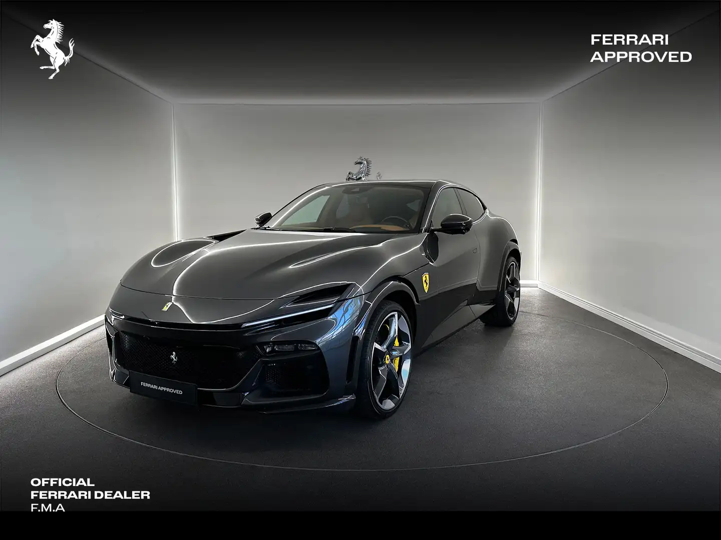 Ferrari Purosangue Canna Di Fucile / Ferrari Approved Grau - 1