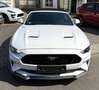 Ford Mustang 5.0 GT V8 Cabrio 1.Hand Blanc - thumbnail 4