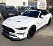 Ford Mustang 5.0 GT V8 Cabrio 1.Hand Blanc - thumbnail 3