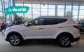 Hyundai SANTA FE 2.0 CRDi 4WD Style Blanc - thumbnail 5