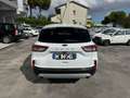 Ford Kuga 1.5 EcoBlue 120 CV 2WD Titanium  RECANATI Bianco - thumbnail 5