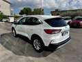 Ford Kuga 1.5 EcoBlue 120 CV 2WD Titanium  RECANATI Bianco - thumbnail 6