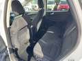 Ford Kuga 1.5 EcoBlue 120 CV 2WD Titanium  RECANATI Bianco - thumbnail 8