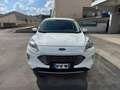 Ford Kuga 1.5 EcoBlue 120 CV 2WD Titanium  RECANATI Bianco - thumbnail 2