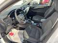 Ford Kuga 1.5 EcoBlue 120 CV 2WD Titanium  RECANATI Bianco - thumbnail 10