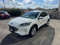 Ford Kuga 1.5 EcoBlue 120 CV 2WD Titanium  RECANATI Bianco - thumbnail 3