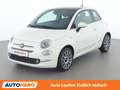 Fiat 500 1.0 Mild-Hybrid Star Weiß - thumbnail 1