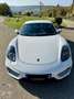 Porsche Cayman 2.7L Flat6 275ch PDK 2013 Blanc - thumbnail 3