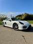 Porsche Cayman 2.7L Flat6 275ch PDK 2013 Blanc - thumbnail 1