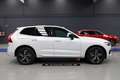 Volvo XC60 T6 Recharge R-Design Blanco - thumbnail 40