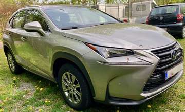 Business Line AWD