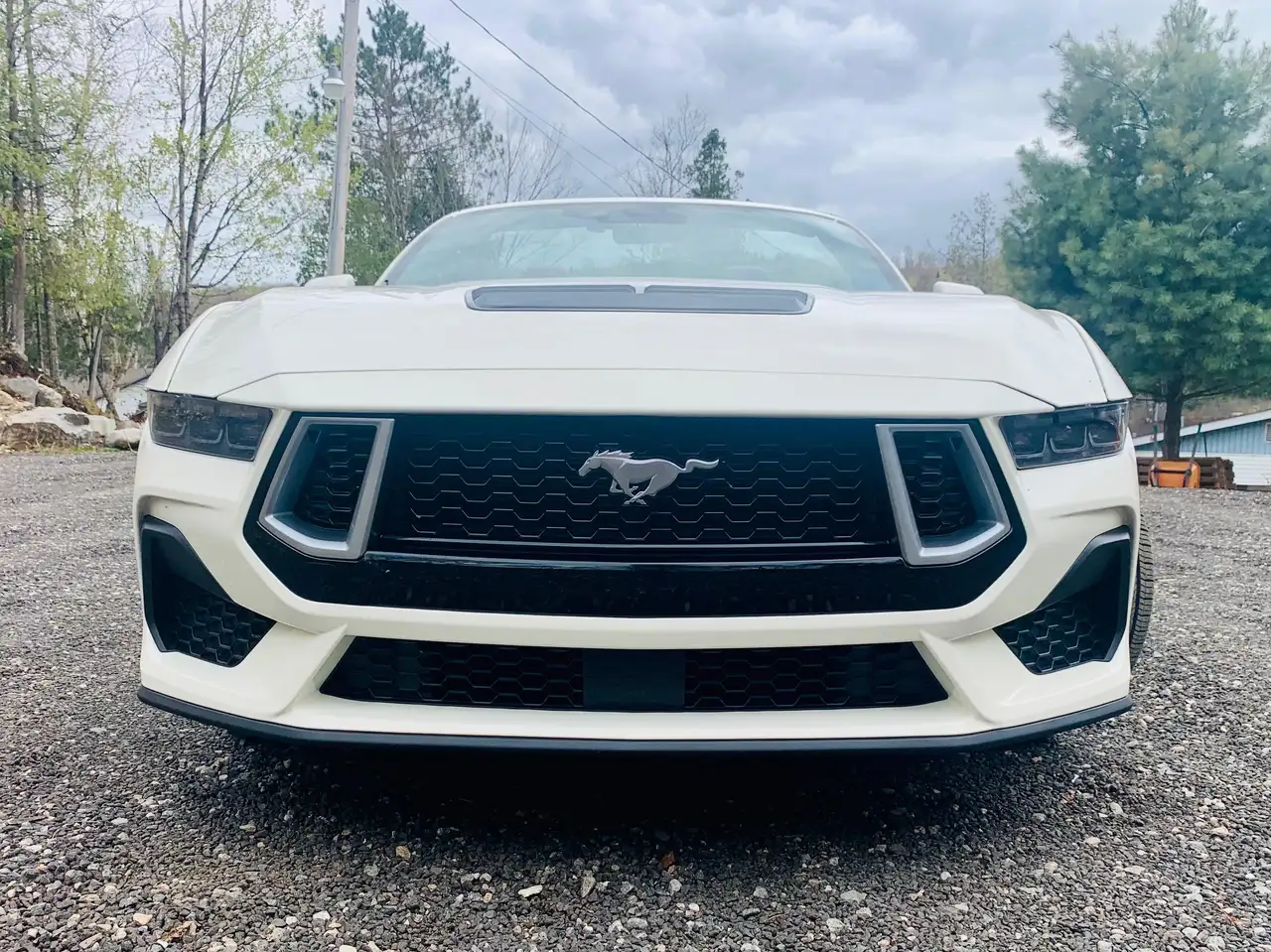 Ford Mustang снимка Ford Mustang