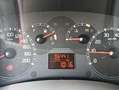 Fiat Panda 1.2 4x4 Climbing Rosso - thumbnail 9