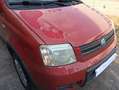 Fiat Panda 1.2 4x4 Climbing Rosso - thumbnail 14