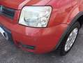 Fiat Panda 1.2 4x4 Climbing Rosso - thumbnail 12