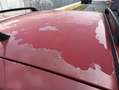 Fiat Panda 1.2 4x4 Climbing Rosso - thumbnail 13