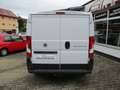 Fiat Ducato Kasten 30 115 L1H1 RS: 3000 mm+AHK Blanc - thumbnail 4