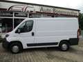 Fiat Ducato Kasten 30 115 L1H1 RS: 3000 mm+AHK Blanc - thumbnail 2