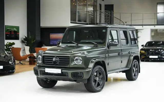 Mercedes-Benz G 450 Professional Line*NIGHT-PCKG.2*BURM*360°*