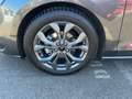 Ford Focus ST-Line X LED+AHK+Kamera+Winterpaket Gris - thumbnail 15
