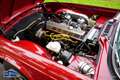 Triumph TR6 Rouge - thumbnail 22