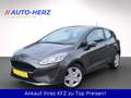 Ford Fiesta Cool&Connect 1.HAND+Klima+PDC+Navi+DAB Gri - thumbnail 5