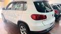Volkswagen Tiguan 1.4 TSI 160cv 4x4 Sport Blanco - thumbnail 5