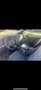 Volkswagen Golf Cabriolet Basis Grau - thumbnail 4