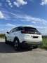 Peugeot 3008 Crossway | 86.000 KM | Scheckheftgepflegt Weiß - thumbnail 3