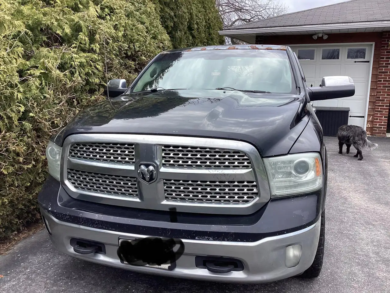 RAM 1500 fotografie RAM 1500