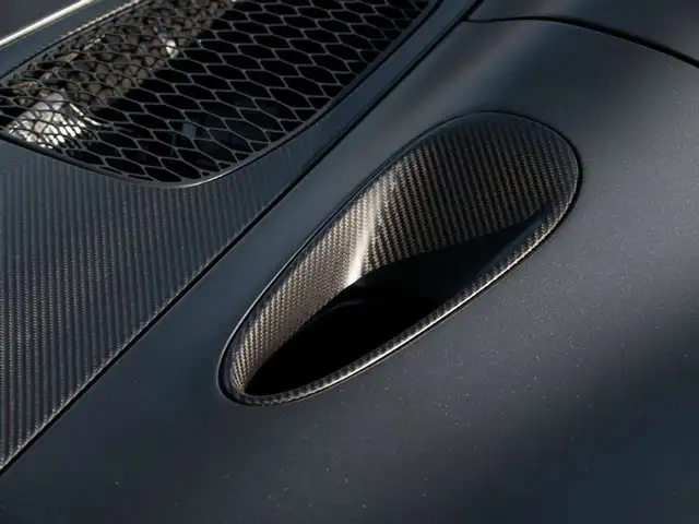 Mclaren Elva view 10