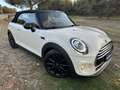 MINI Cooper Cabrio Beige - thumbnail 3