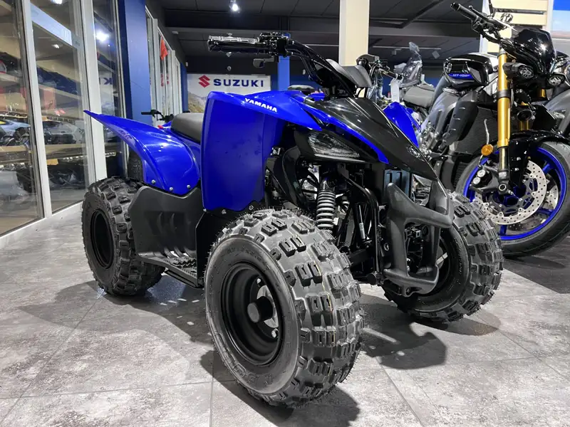 Yamaha Raptor 50 4 - foto 7