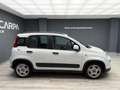 Fiat Panda 1.0 Hybrid 51kW Pack Comfort Plus Blanco - thumbnail 4
