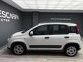 Fiat Panda 1.0 Hybrid 51kW Pack Comfort Plus Blanco - thumbnail 5