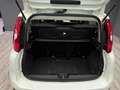 Fiat Panda 1.0 Hybrid 51kW Pack Comfort Plus Blanco - thumbnail 8