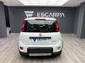 Fiat Panda 1.0 Hybrid 51kW Pack Comfort Plus Blanco - thumbnail 7