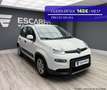 Fiat Panda 1.0 Hybrid 51kW Pack Comfort Plus Blanco - thumbnail 1
