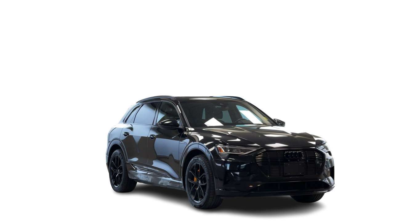 2021 Audi e-tron Progressiv Fresh Trade — снимка 1