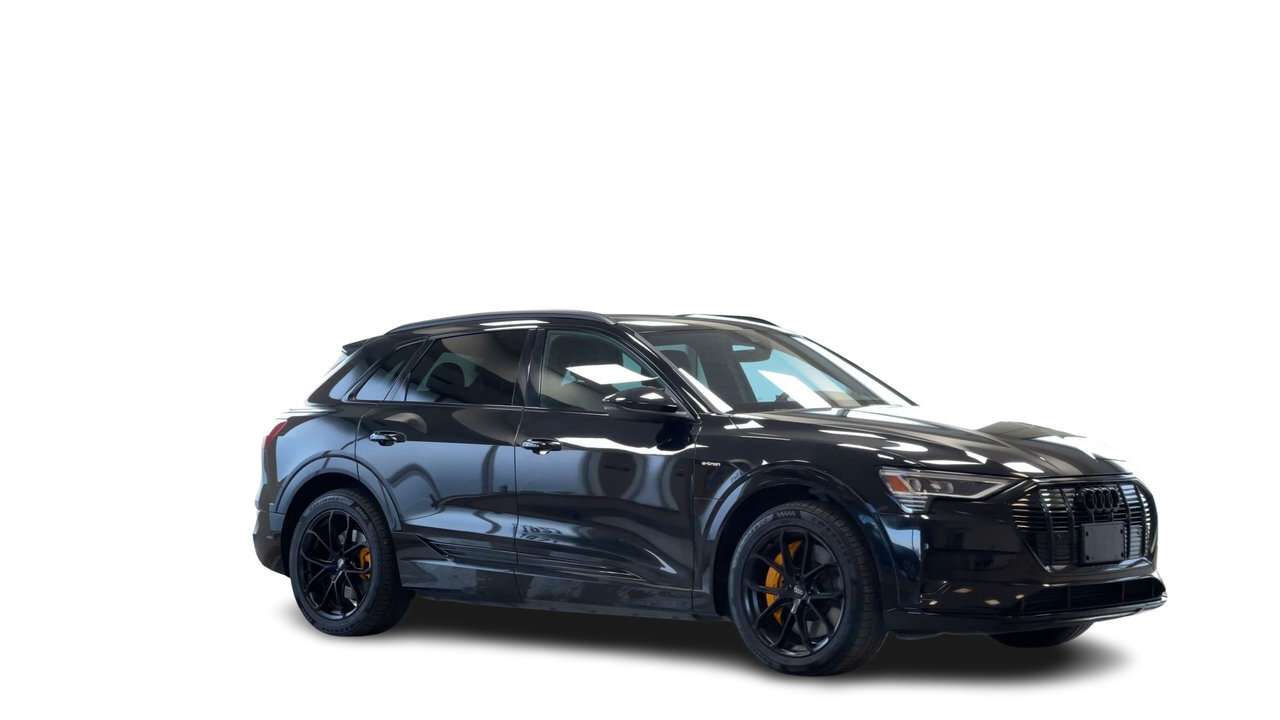 2021 Audi e-tron Progressiv Fresh Trade — снимка 1