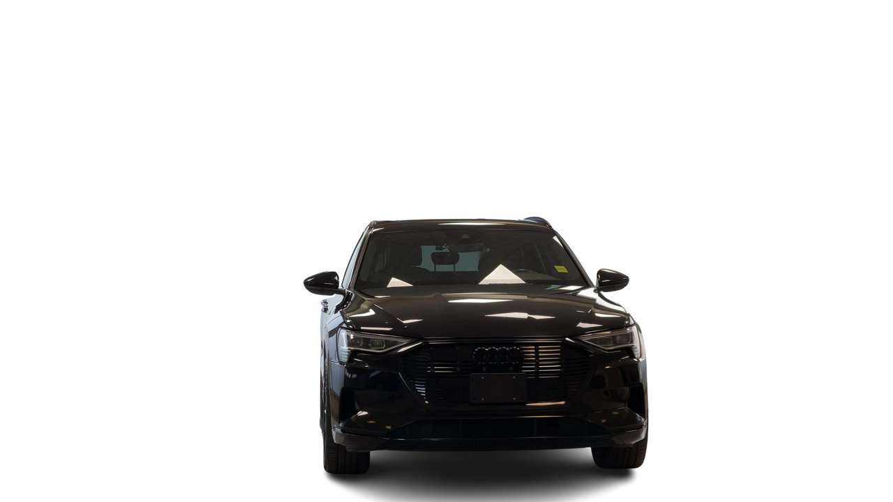 2021 Audi e-tron Progressiv Fresh Trade — снимка 1