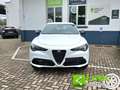 Alfa Romeo Stelvio 2.2 Sprint 160cv auto PROMO PRIME DRIVE!!! Wit - thumbnail 2